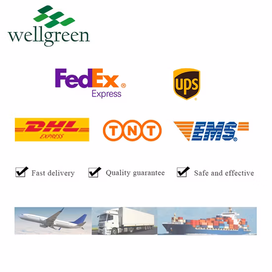 Polvere di tocoferoli misti in polvere naturale sfusa al 30% 50% di vitamina E